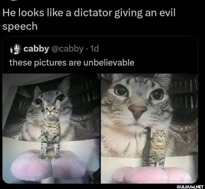 He looks a dictator giving...