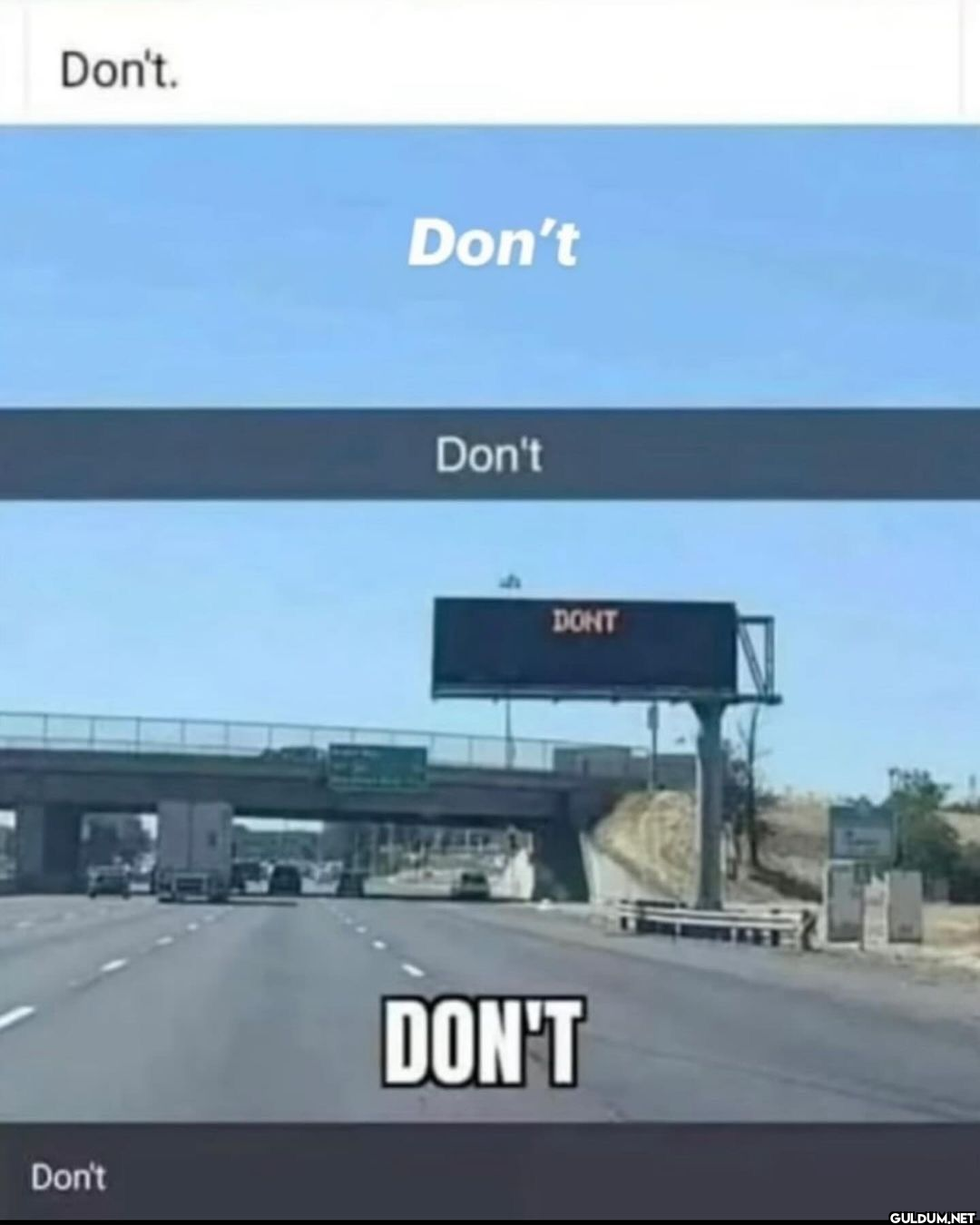 Don't. Don't Don't Don't DONT DON'T