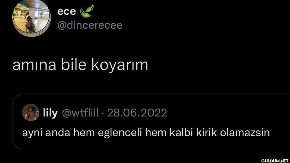 amına bile koyarım lily...