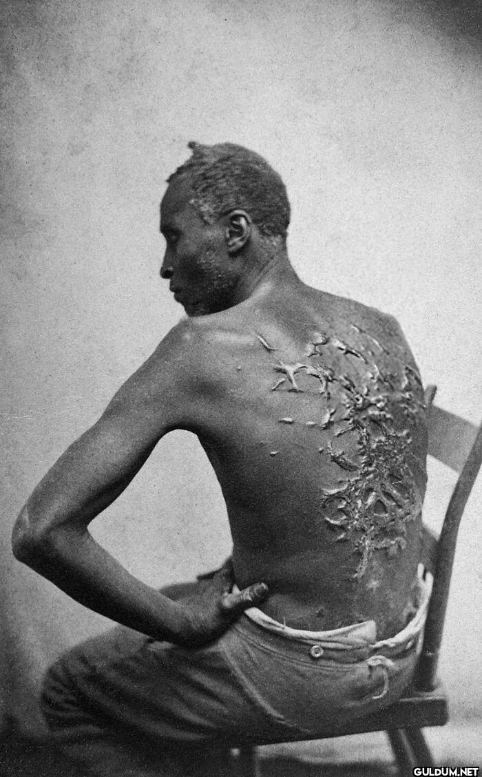 19. Runaway Slave Peter,...