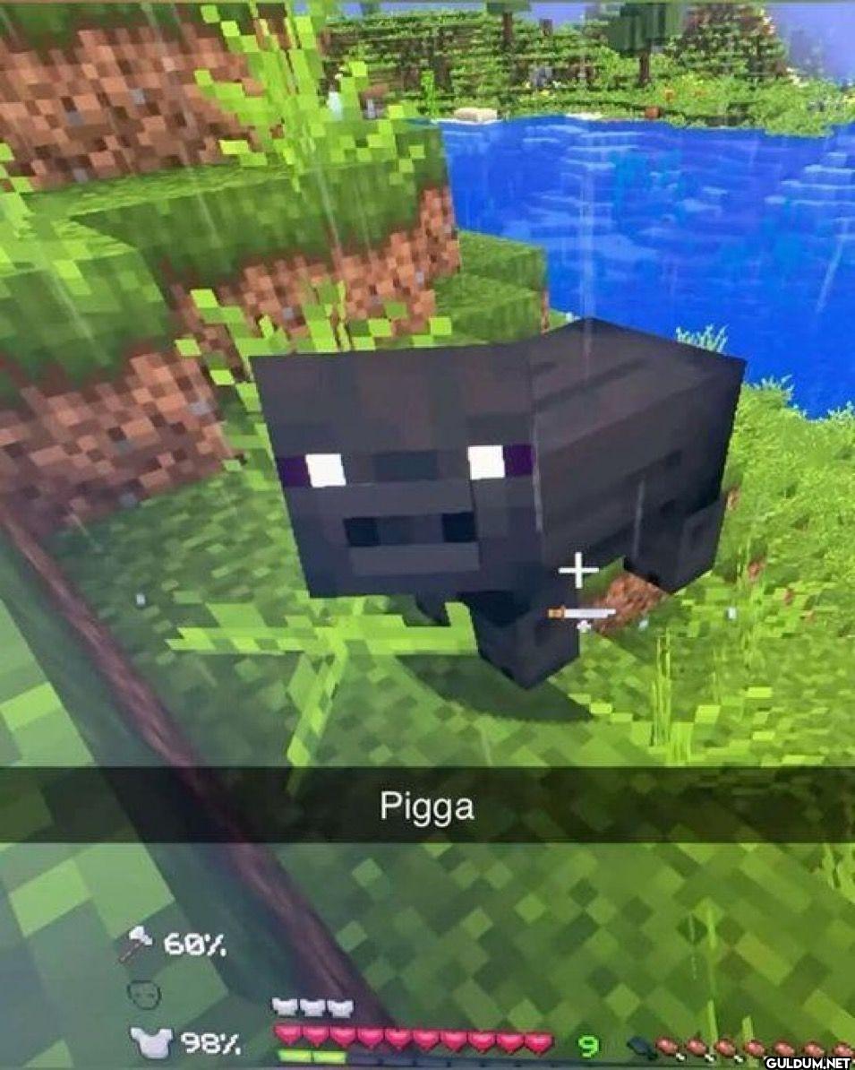Pigga 60% 98% 9