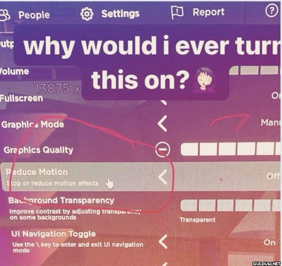 People Settings Report why...