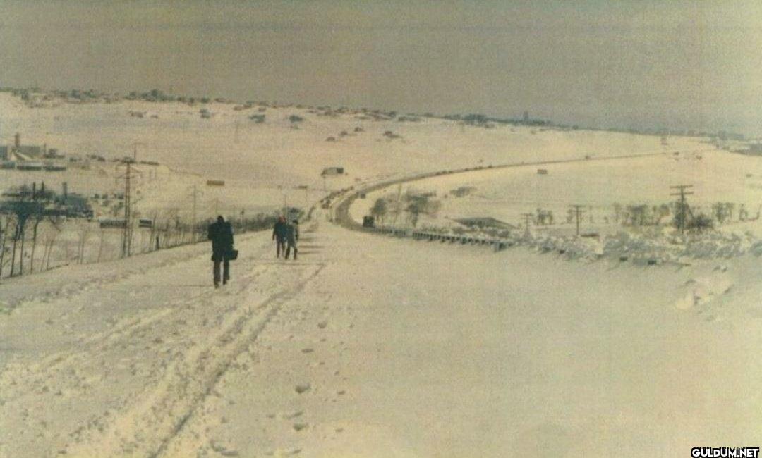 Beylikdüzü tarafından...