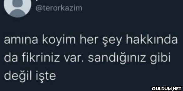 amına koyim her şey...