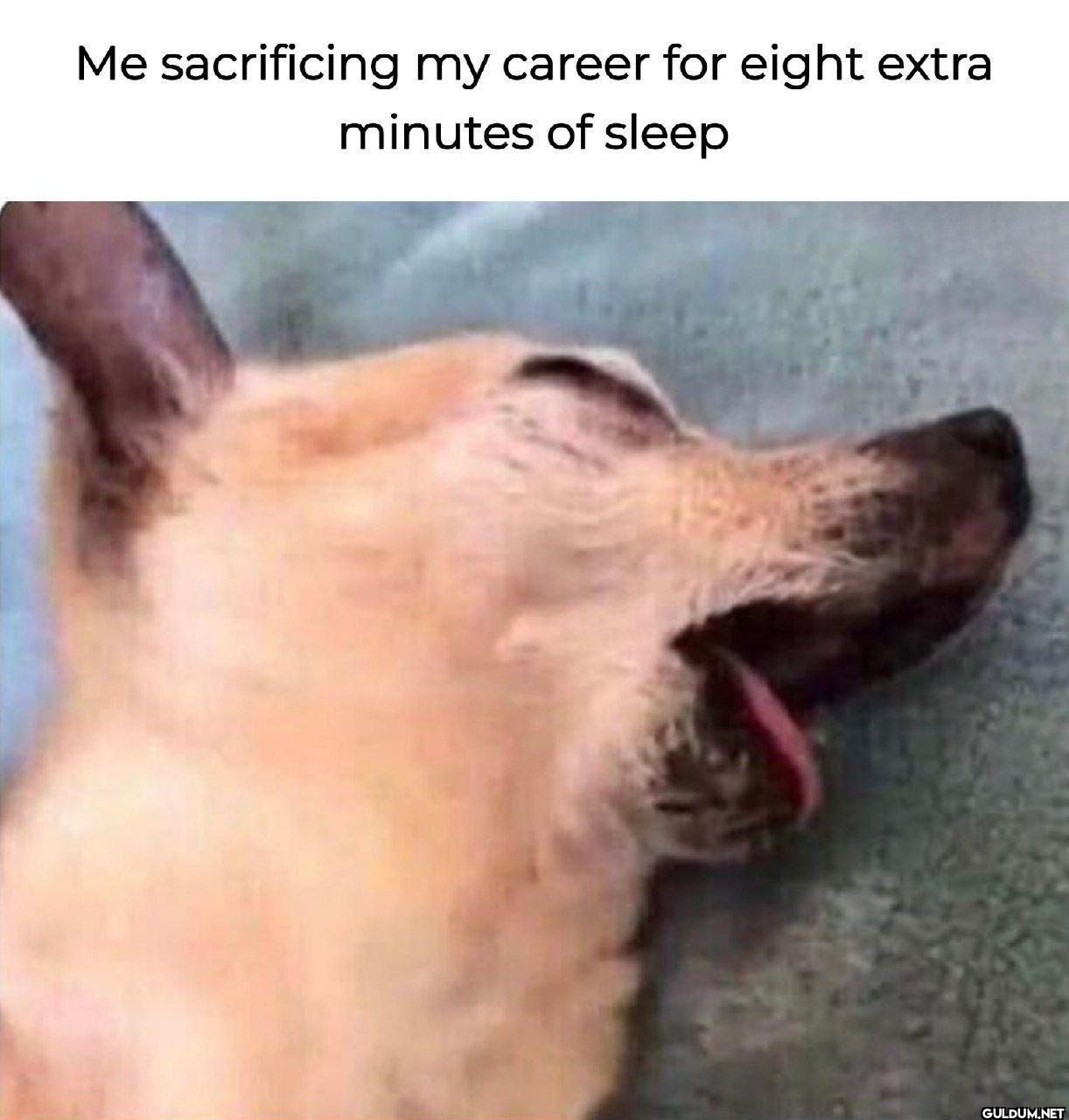 Me sacrificing my career...