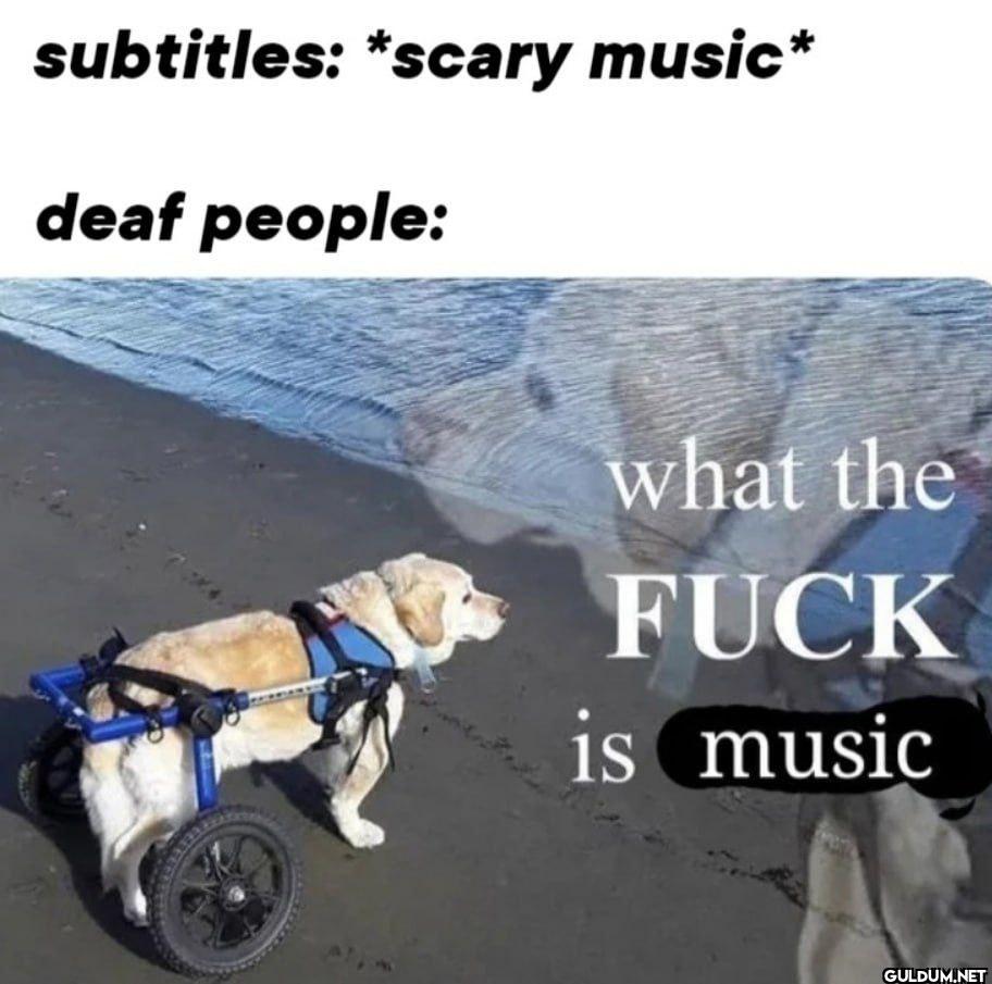 subtitles: *scary music*...