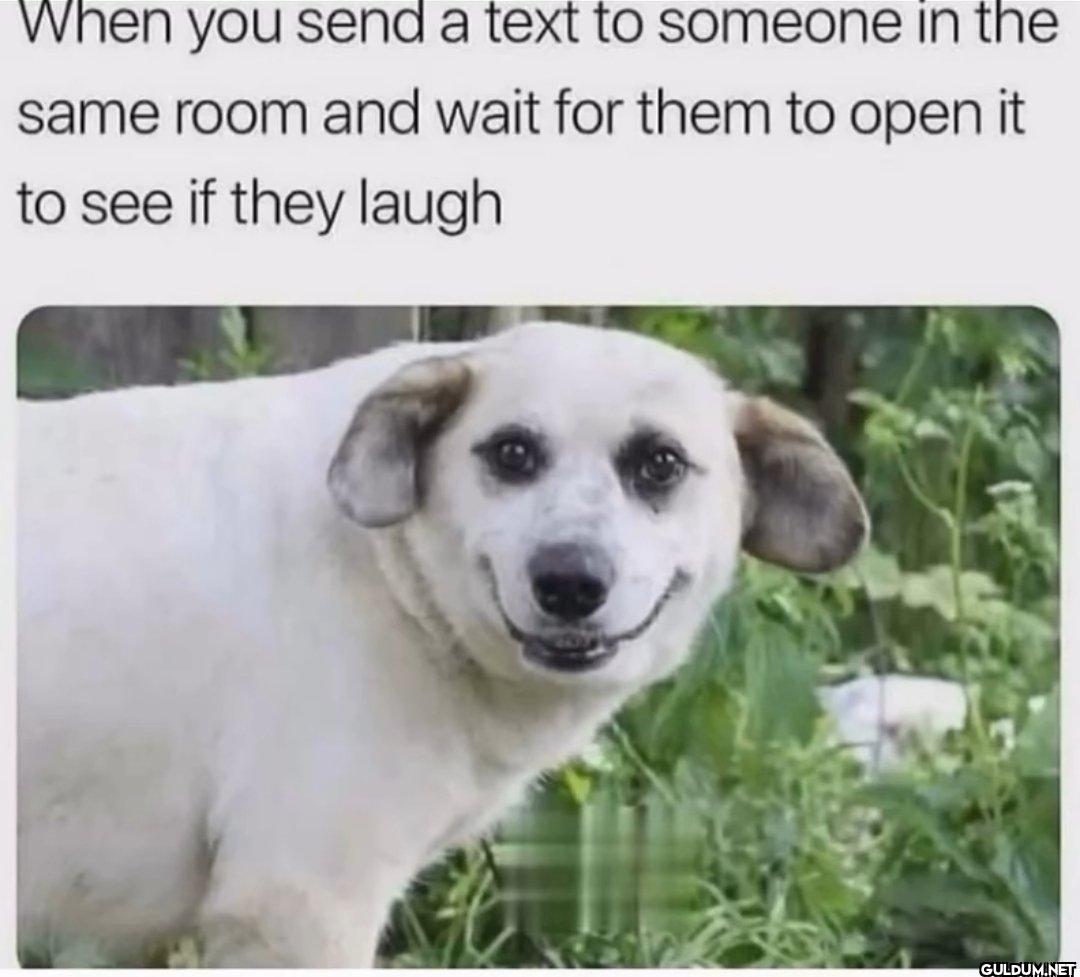 Me trying not to laugh...