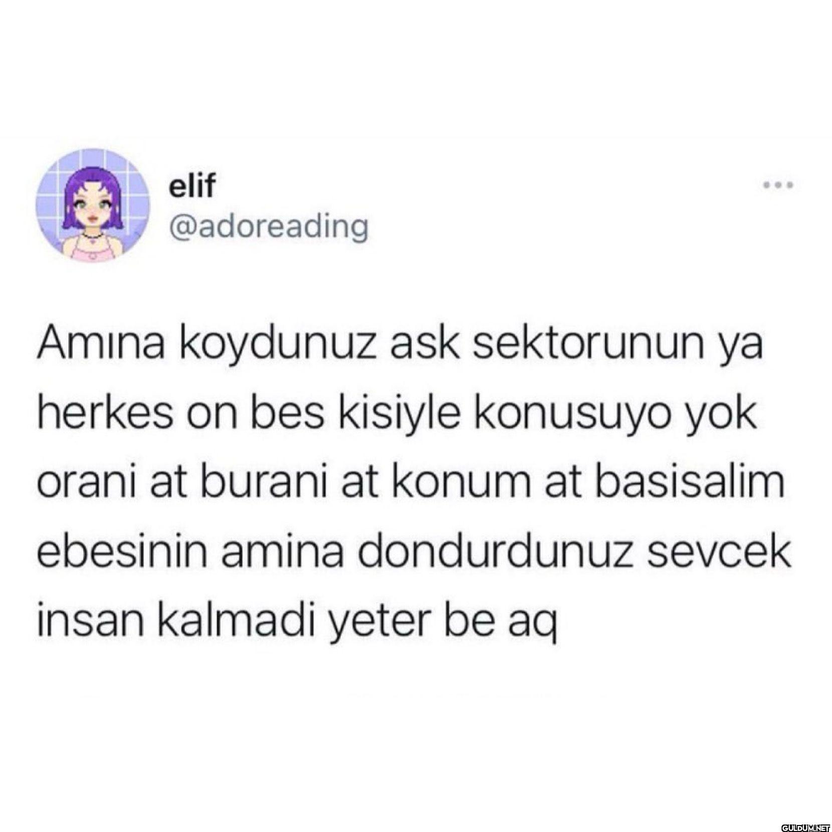 Amına koydunuz ask...