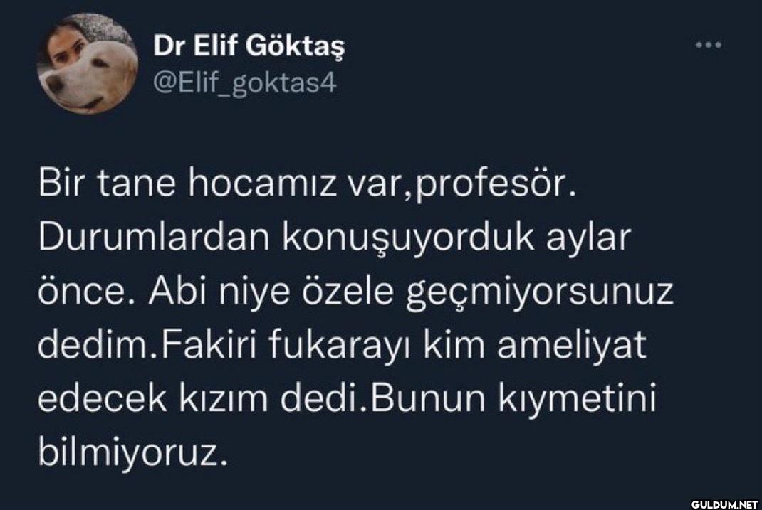 Bir tane hocamız var,...