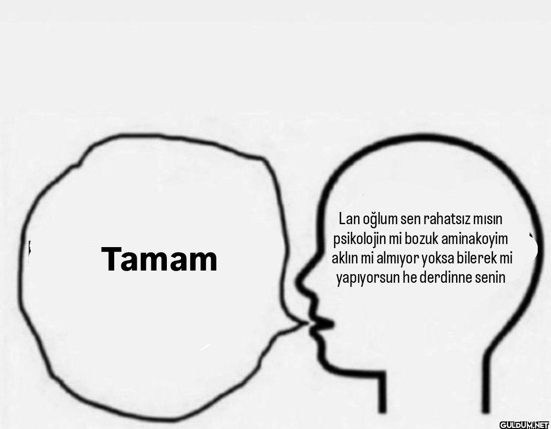 Tamam Lan oğlum sen...