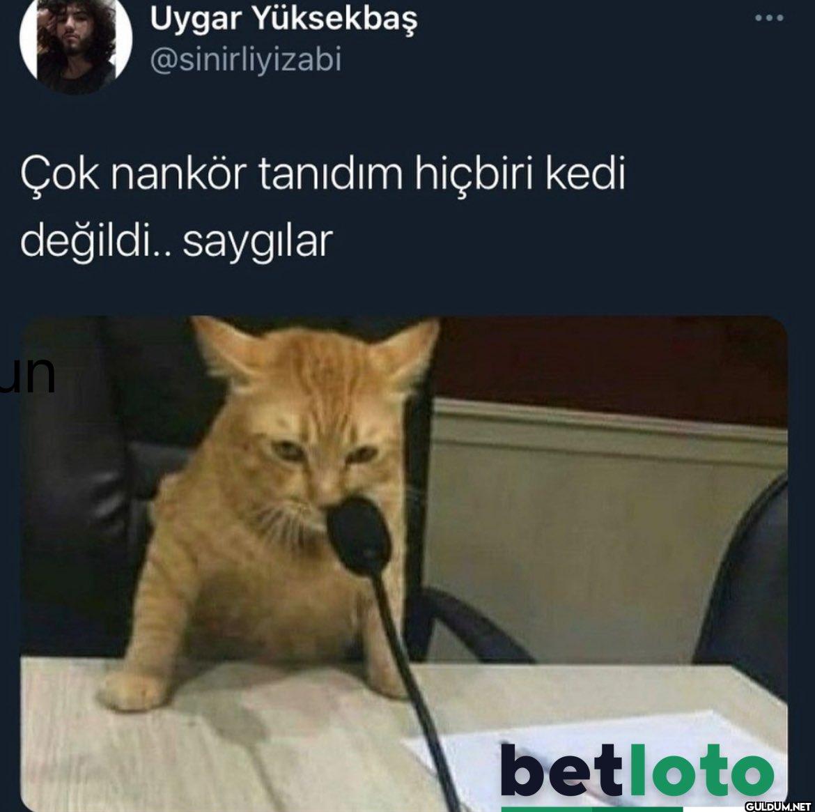 Çok nankör tanıdım hiçbiri...