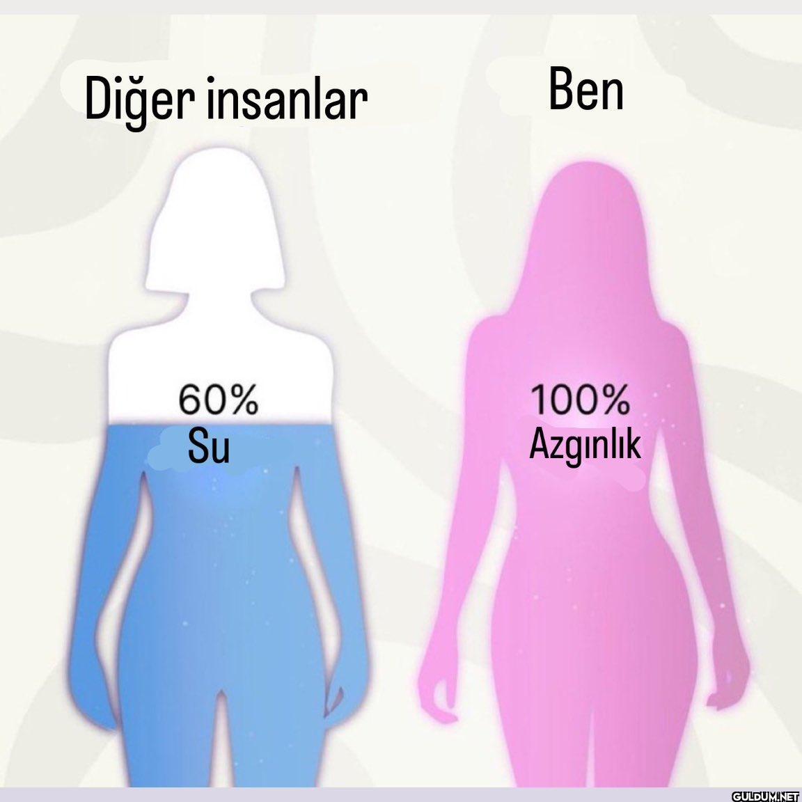 Diğer insanlar Ben 60% Su...