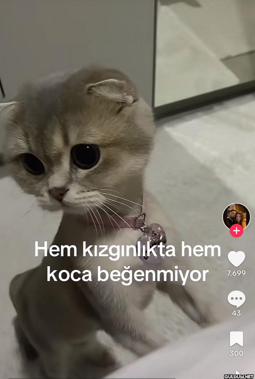 + Hem kızgınlıkta hem koca...