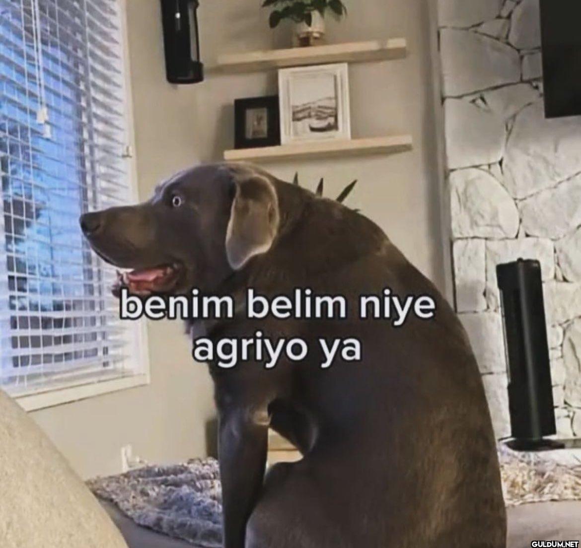 benim belim niye agriyo ya