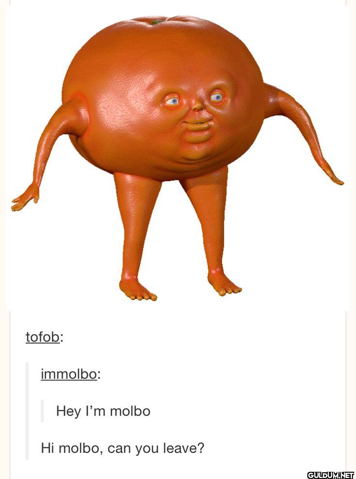 molbo    tofob: immolbo:...