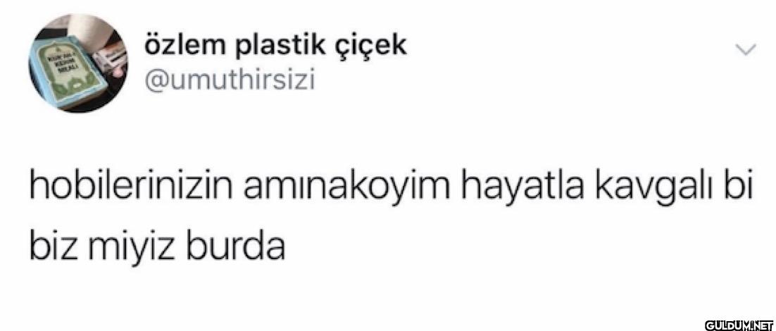 hobilerinizin amınakoyim...