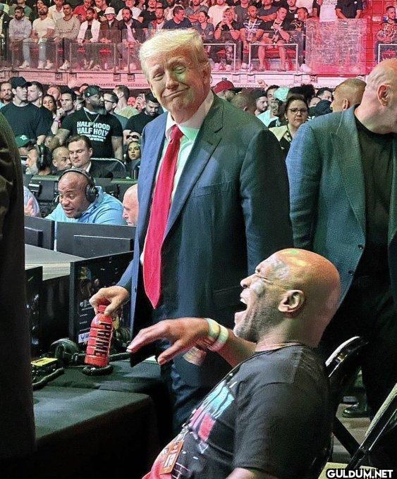 What do you think Trump...