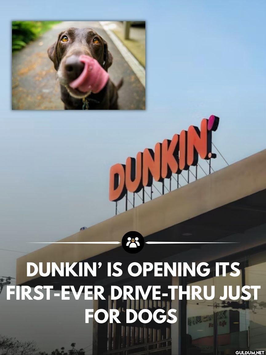 DUNKING DUNKIN' IS OPENING...