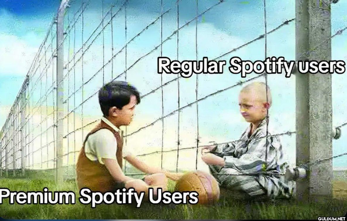 Regular Spotify users...