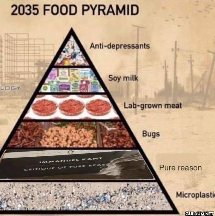 2035 FOOD PYRAMID LOGY...