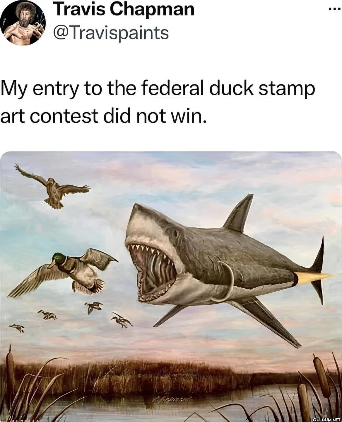 My entry to the federal...