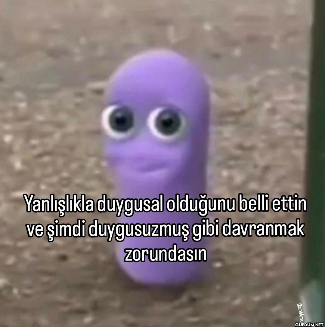 Yanlışlıkla duygusal...