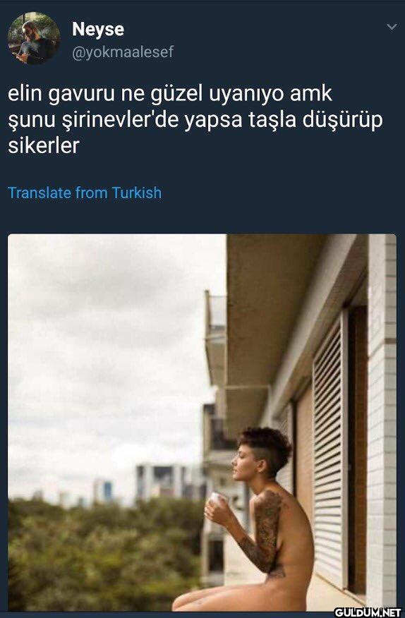 elin gavuru ne güzel...