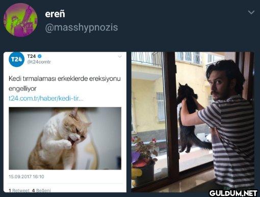 Sevdiğim hanım kedileri...