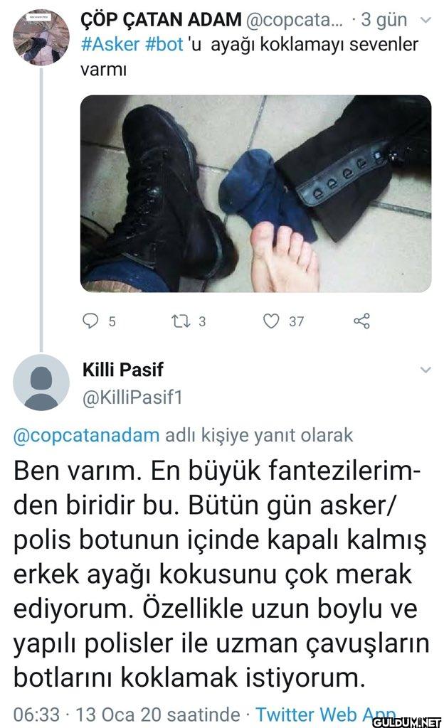 Sevdiğim hanım kedileri...
