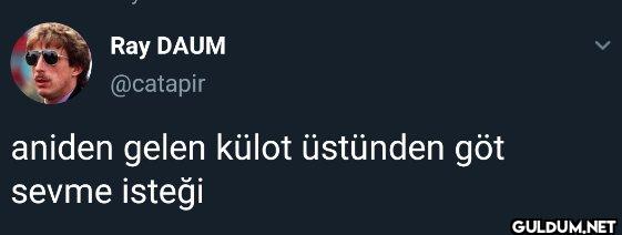 Sevdiğim hanım kedileri...
