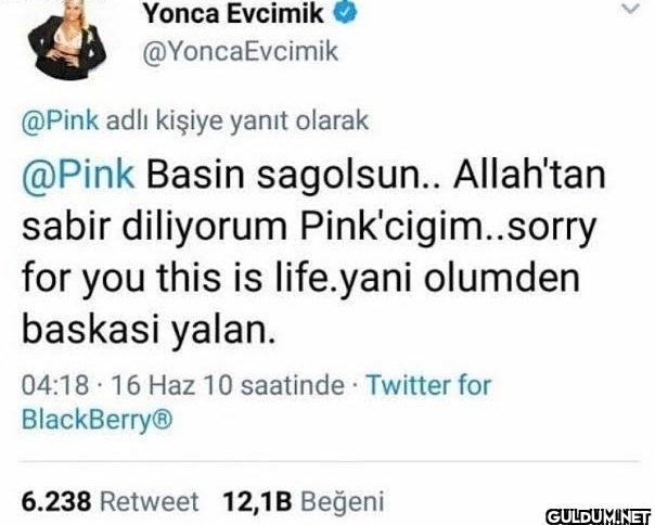 Evcimik @Pink adlı kişiye...
