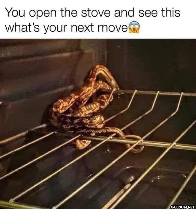 You open the stove and see...