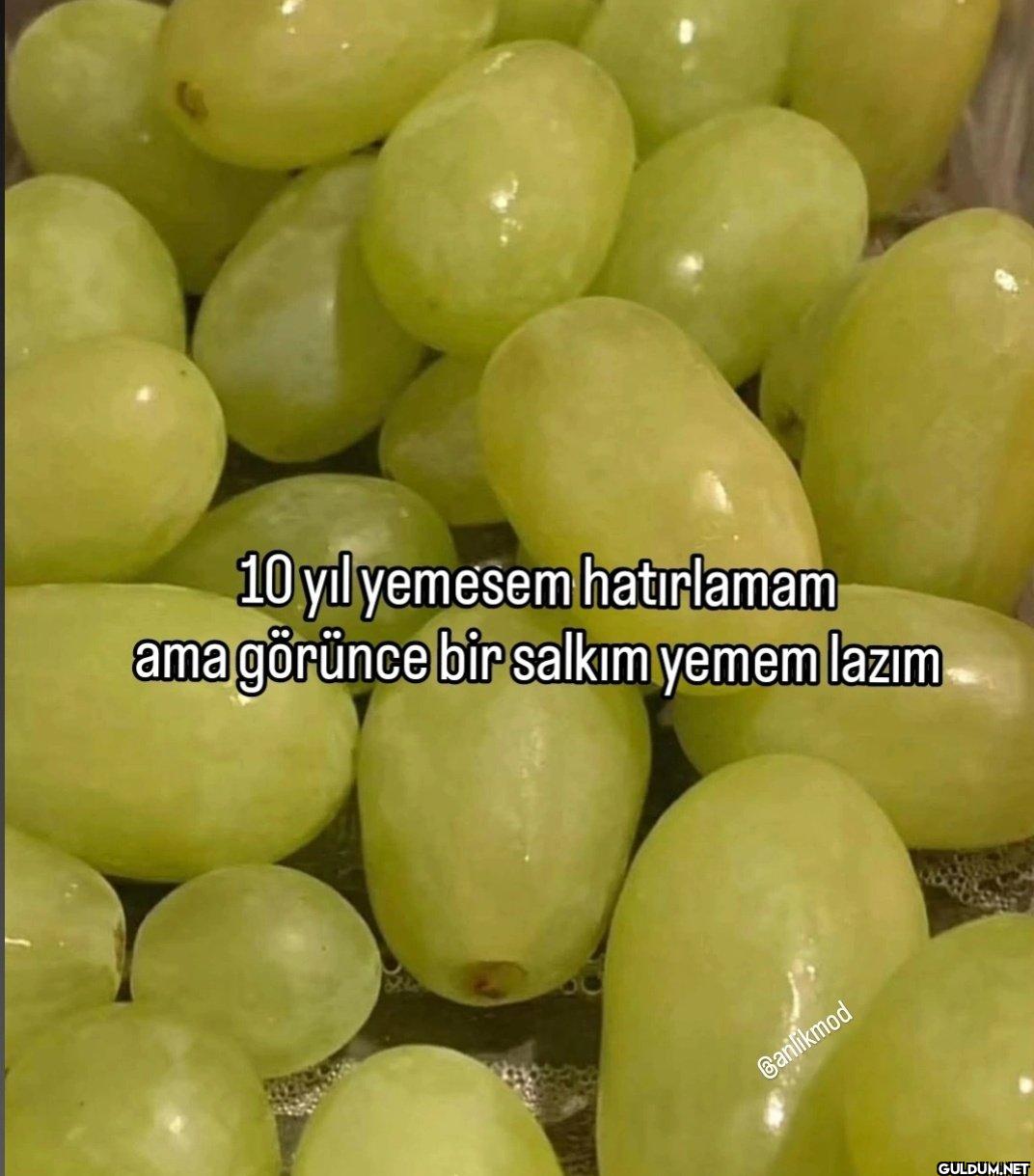 10 yıl yemesem hatırlamam...