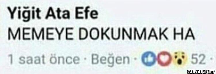 Yiğit Ata Efe BİLDİĞİMİZ...