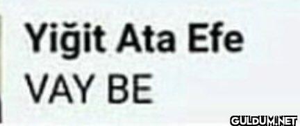 Yiğit Ata Efe BİLDİĞİMİZ...