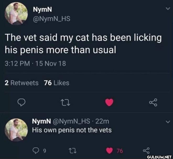 The vet said my cat has...