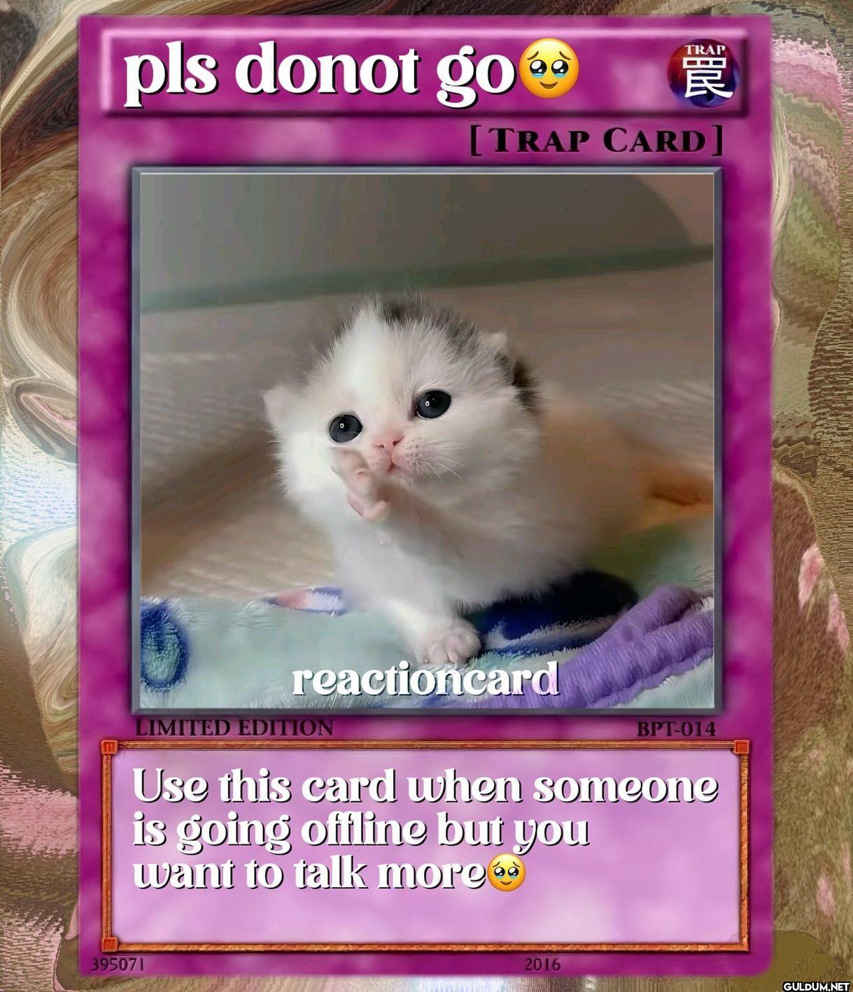 pls donot go TRAP 罠 TRAP...