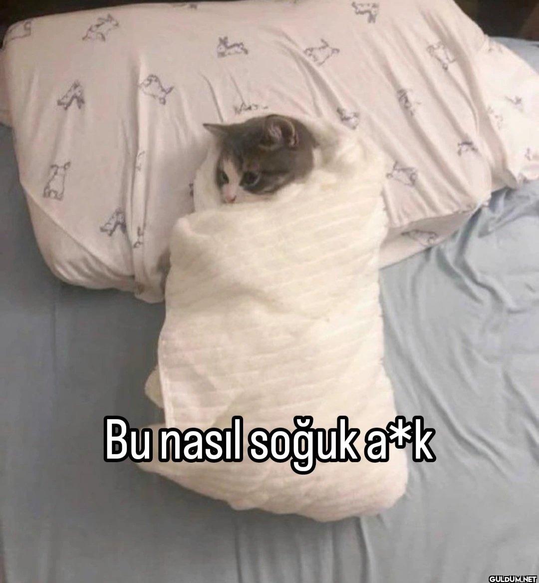 Bu nasıl soğuk a+k