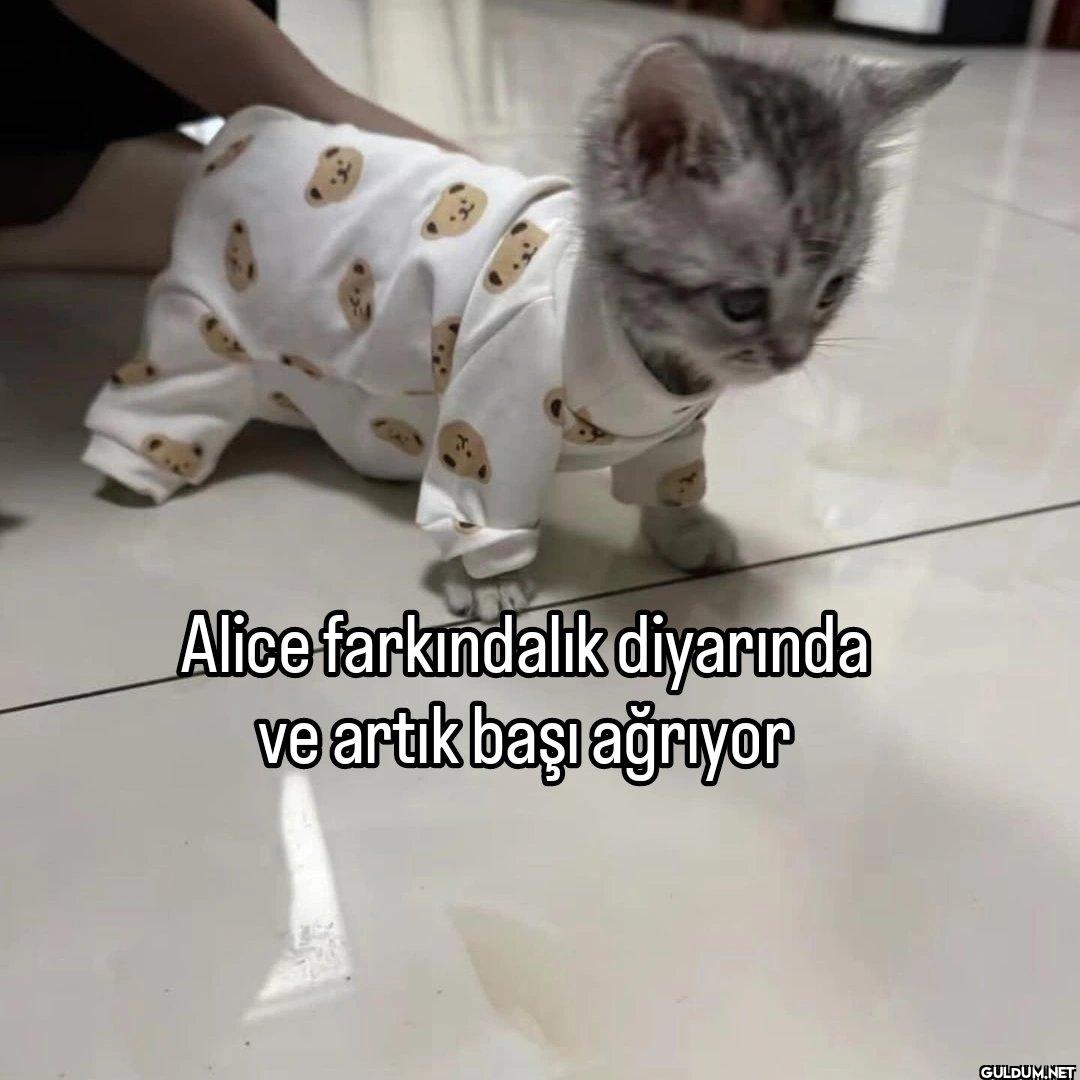 Alice farkındalık...
