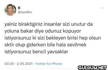 yalniz biraktiginiz...