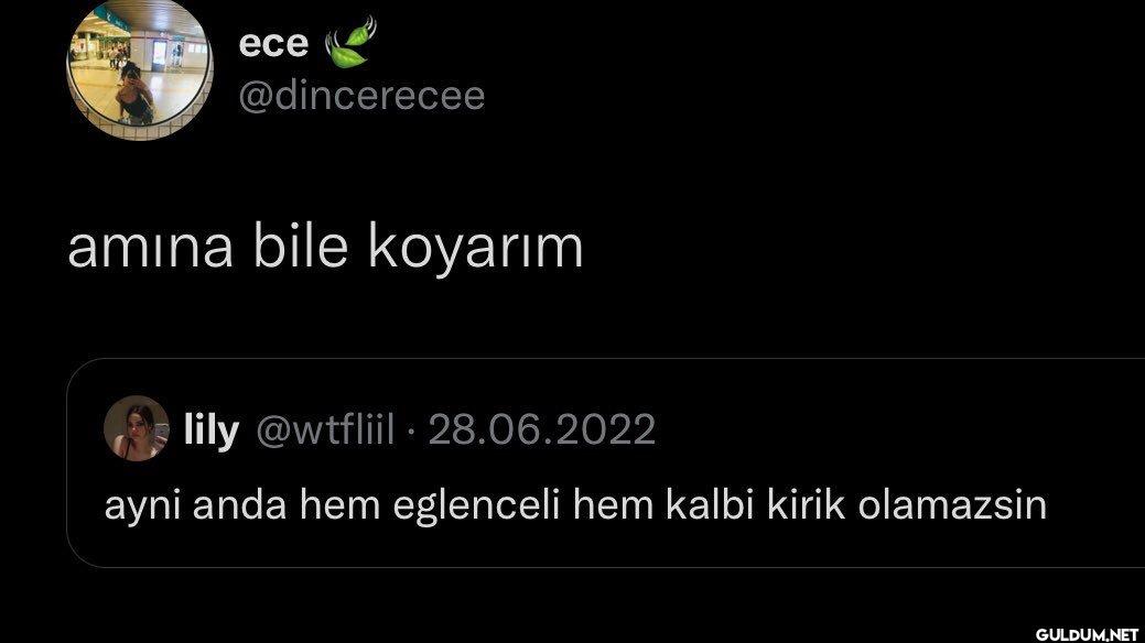 amına bile koyarım lily...