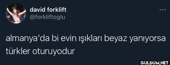 almanya'da bi evin...
