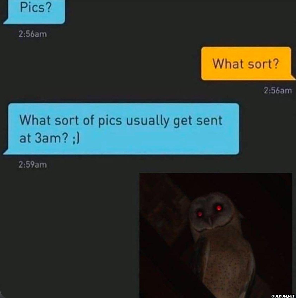 Pics? 2:56am What sort?...