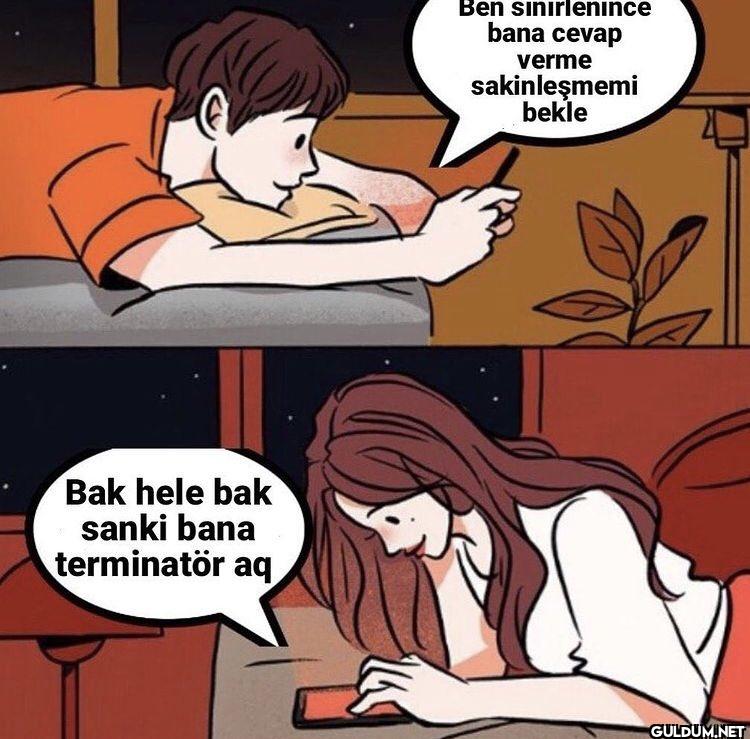 siktir git tedavi gör aq...