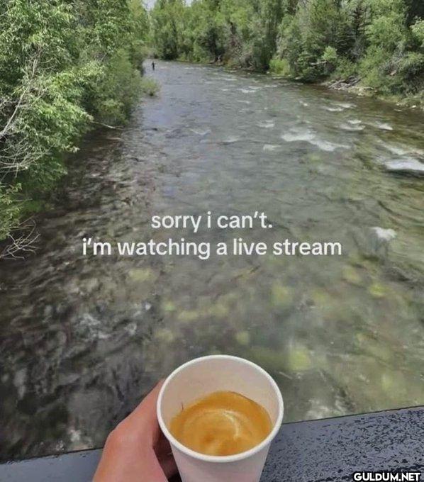 sorry i can't. i'm...