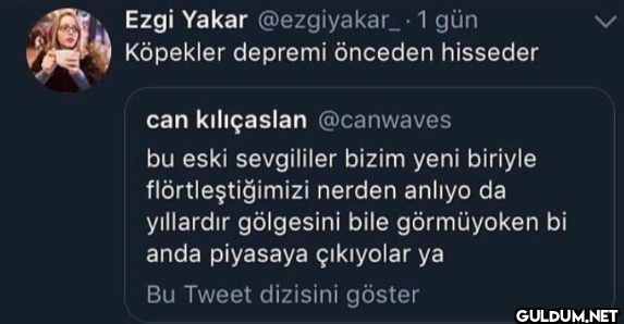 1 gün Köpekler depremi...