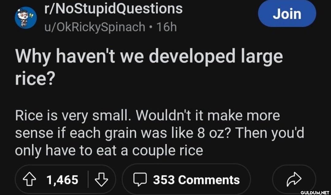 r/NoStupidQuestions...