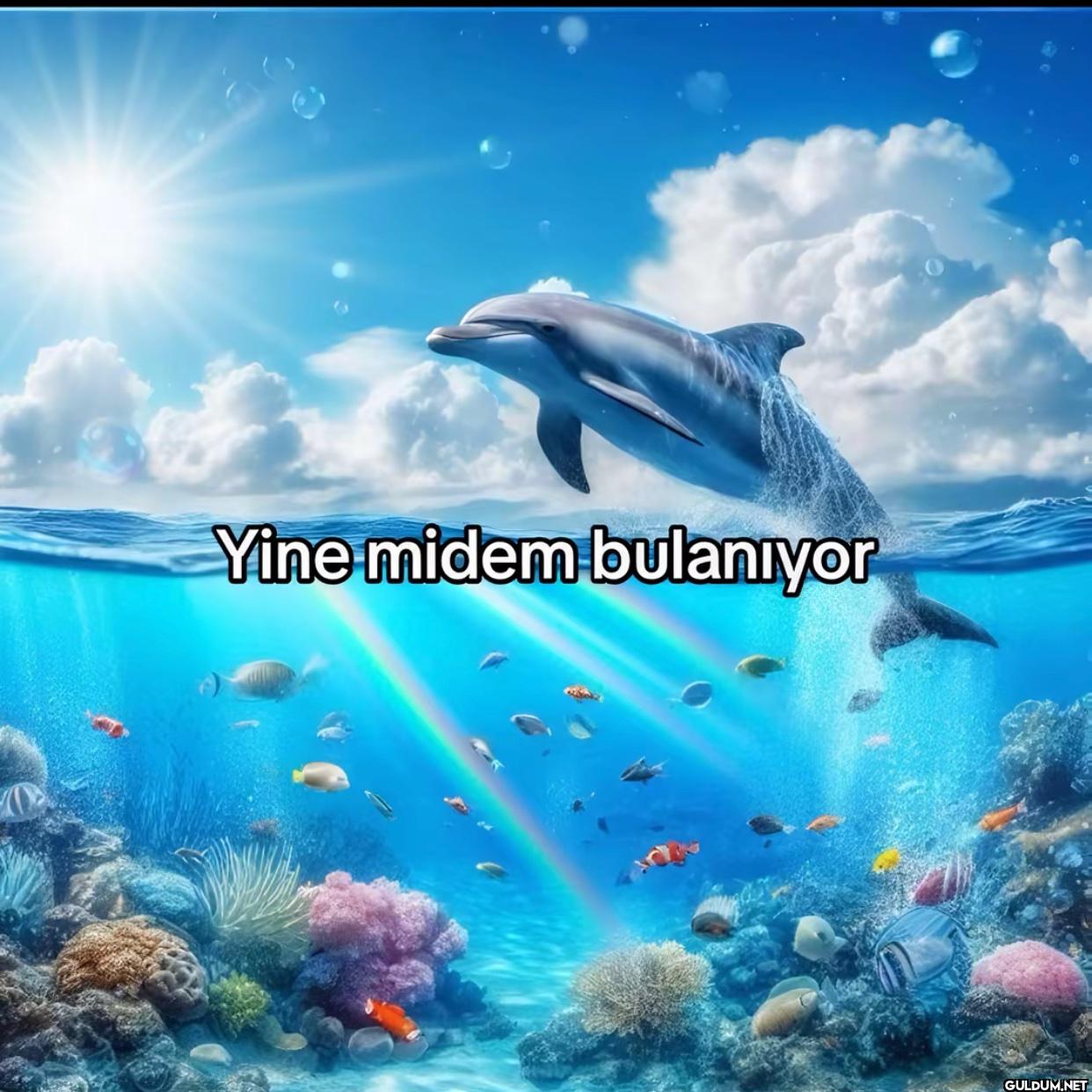 Yine midem bulanıyor