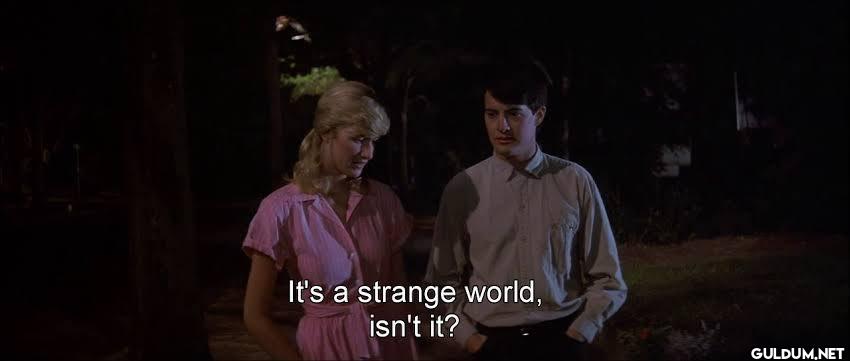 It's a strange world, isn't it?