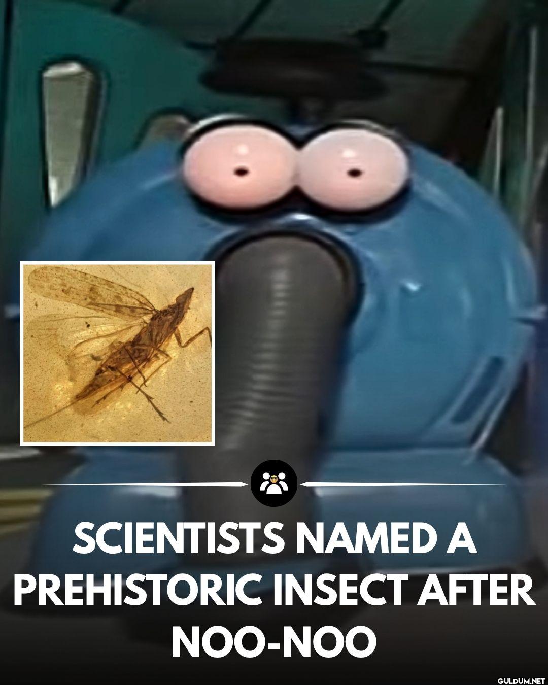 Researchers named a...